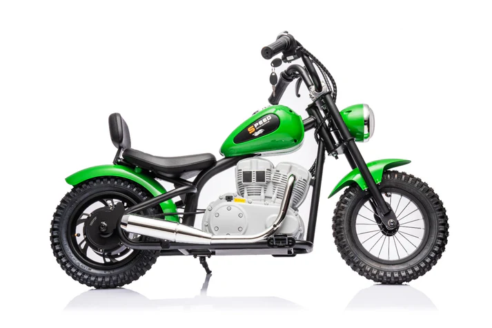 36V ELECTRIC CHOPPER MOTOR CYCLE
